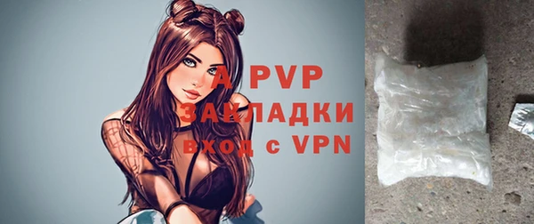 ГАЛЛЮЦИНОГЕННЫЕ ГРИБЫ Козловка