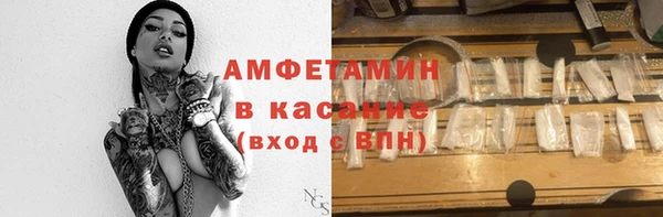 ГАЛЛЮЦИНОГЕННЫЕ ГРИБЫ Козловка