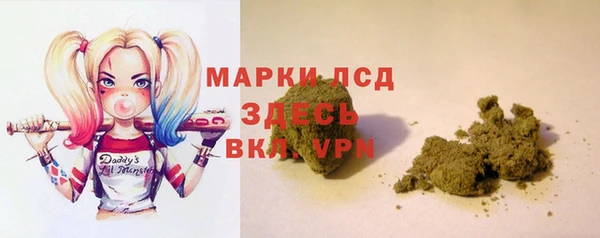 ГАЛЛЮЦИНОГЕННЫЕ ГРИБЫ Козловка