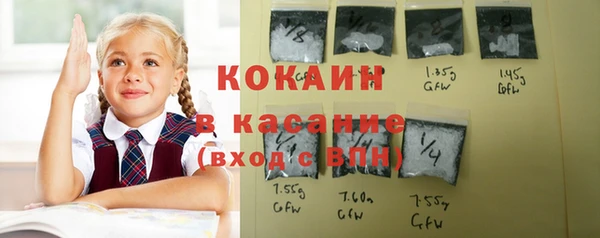 apvp Козельск