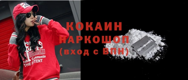 apvp Козельск