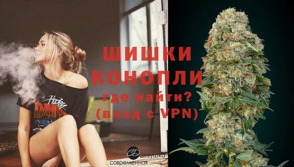 ГАЛЛЮЦИНОГЕННЫЕ ГРИБЫ Козловка