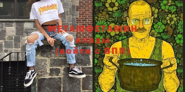 ГАЛЛЮЦИНОГЕННЫЕ ГРИБЫ Козловка
