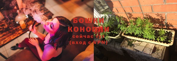 ГАЛЛЮЦИНОГЕННЫЕ ГРИБЫ Козловка
