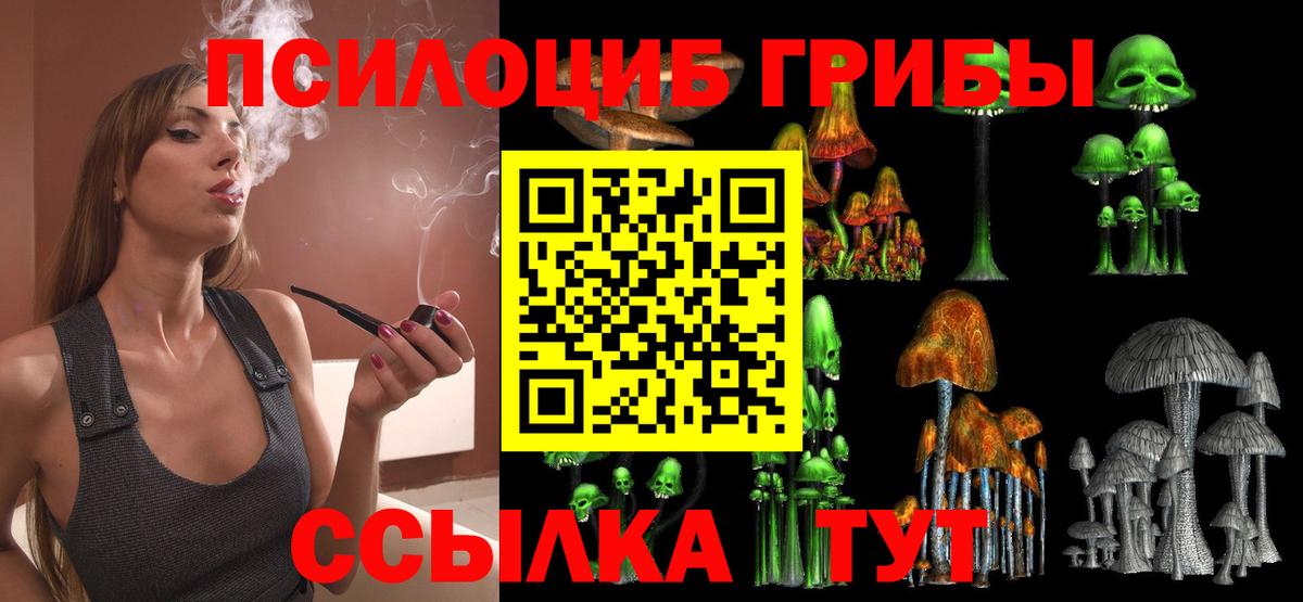 Псилоцибиновые грибы Magic Shrooms  Вход с VPN  Кувандык 