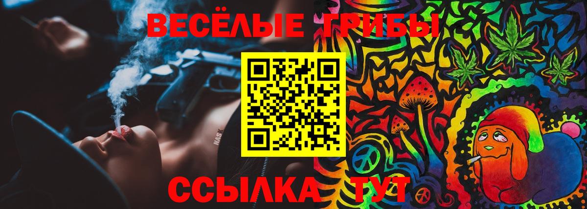 Псилоцибиновые грибы Magic Shrooms Кувандык